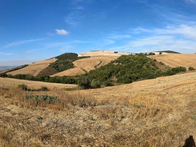 Terreno/Finca Rústica en venta en Arcos de la Frontera, Cádiz