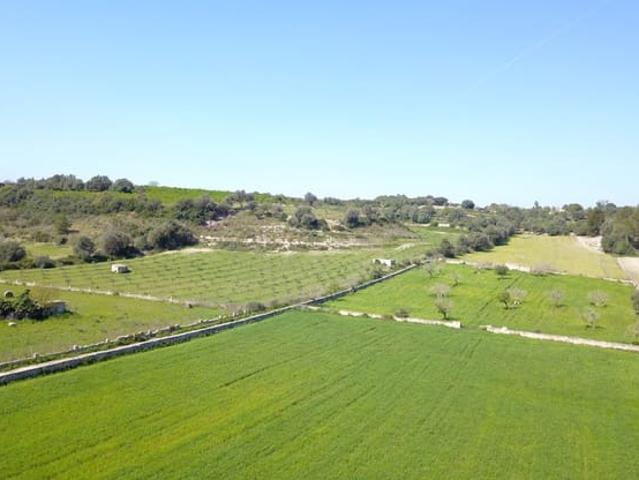 Terreno/Finca Rústica en venta en Ariany, Mallorca