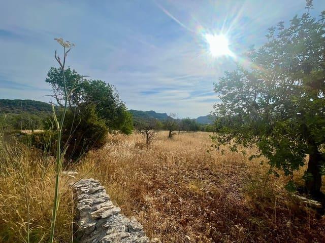 Terreno/Finca Rústica en venta en Artà, Mallorca
