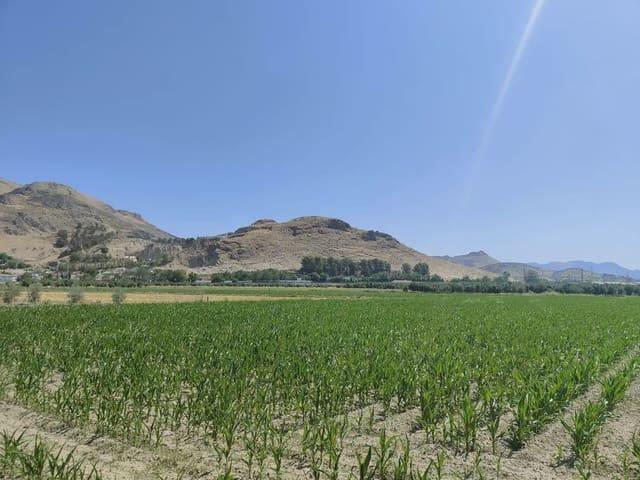 Terreno/Finca Rústica en venta en Atarfe, Granada