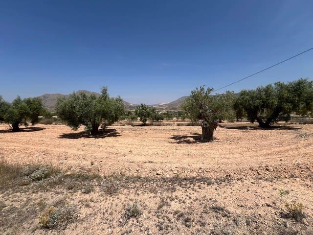 Terreno/Finca Rústica en venta en Barbarroja, Alicante
