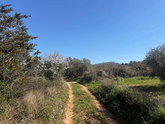 Terreno/Finca Rústica en venta en Castellví de Rosanes, Barcelona