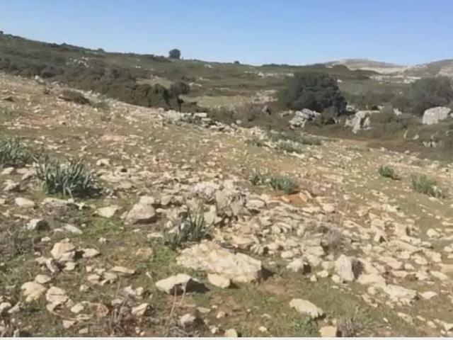 Terreno/Finca Rústica en venta en Benaoján, Málaga