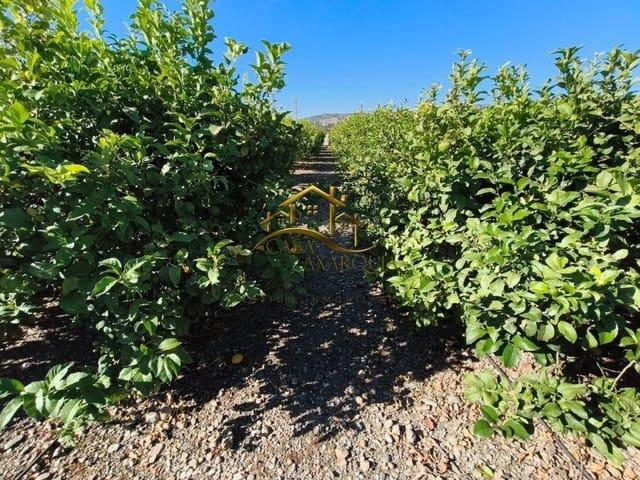 Terreno/Finca Rústica en venta en Benamocarra, Málaga Costa del Sol