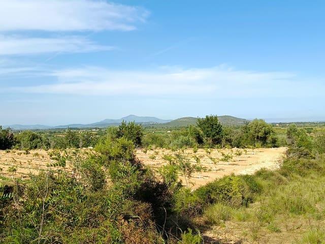 Terreno/Finca Rústica en venta en Benicarló, Castellón Costa Azahar