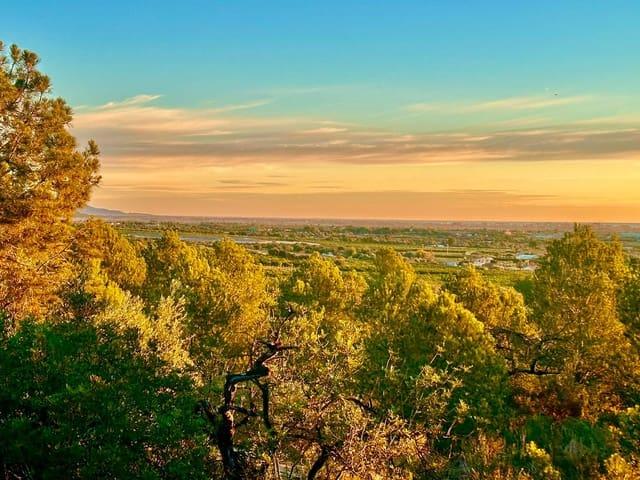 Terreno/Finca Rústica en venta en Benicarló, Castellón Costa Azahar