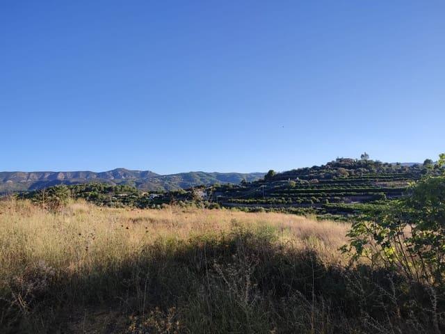Terreno/Finca Rústica en venta en Beniarbeig, Alicante Costa Blanca