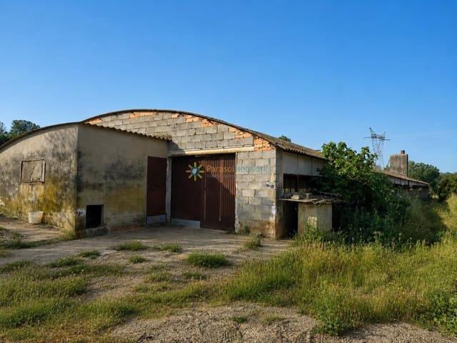 Terreno/Finca Rústica en venta en Benigánim, Valencia