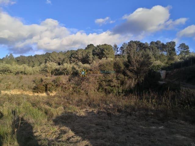 Terreno/Finca Rústica en venta en Benigánim, Valencia