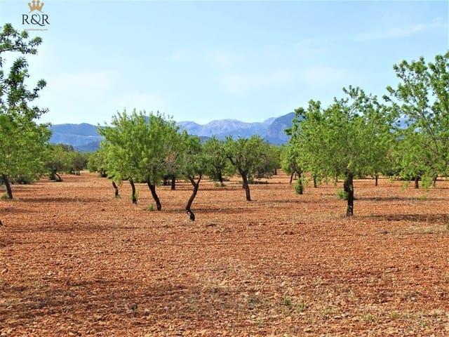 Terreno/Finca Rústica en venta en Binissalem, Mallorca