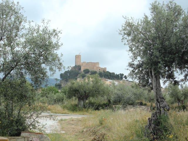 Terreno/Finca Rústica en venta en Biar, Alicante