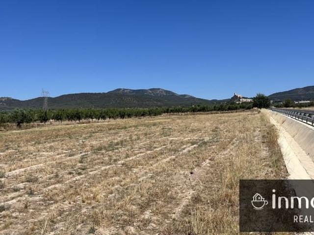 Terreno/Finca Rústica en venta en Biar, Alicante