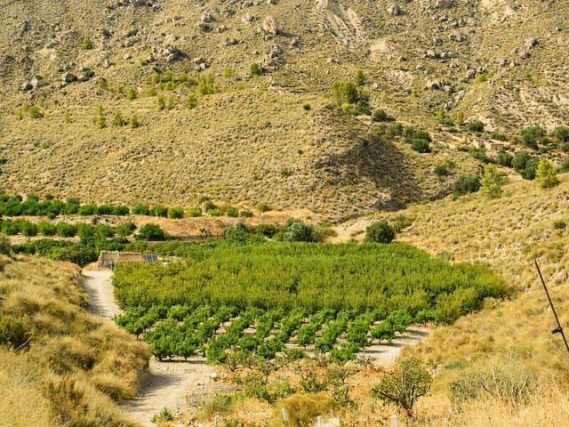 Terreno/Finca Rústica en venta en Blanca, Murcia