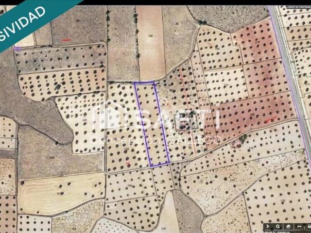 Terreno/Finca Rústica en venta en Campo de Criptana, Ciudad Real