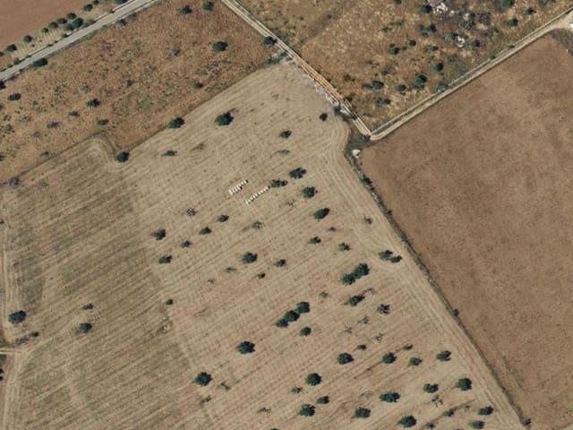 Terreno/Finca Rústica en venta en Campos, Mallorca