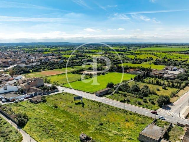 Terreno/Finca Rústica en venta en Campos, Mallorca