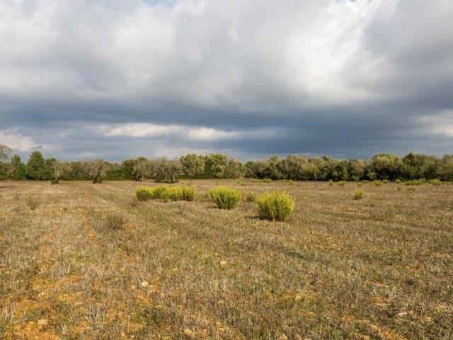 Terreno/Finca Rústica en venta en Campos, Mallorca