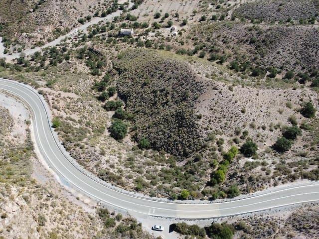 Terreno/Finca Rústica en venta en Cantoria, Almería