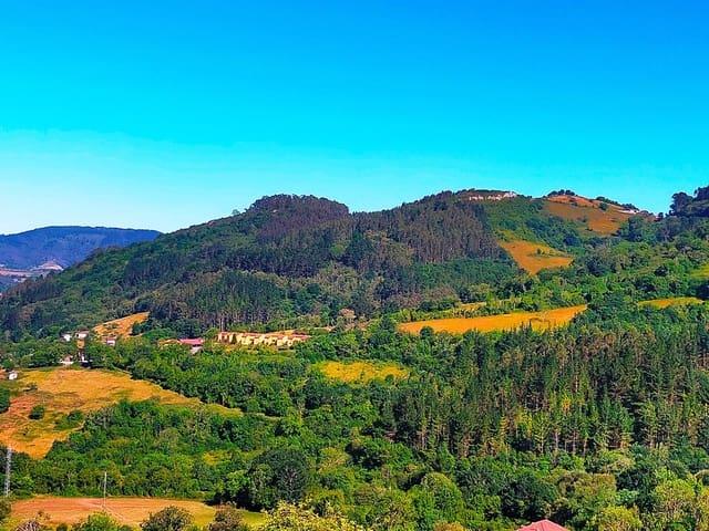 Terreno/Finca Rústica en venta en Candamo, Asturias