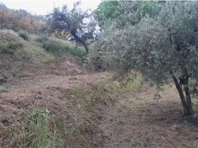Terreno/Finca Rústica en venta en Canillas de Albaida, Málaga Costa del Sol