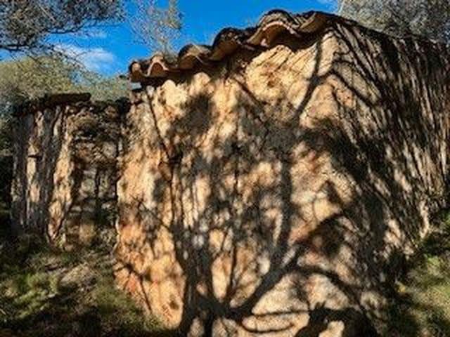 Terreno/Finca Rústica en venta en Cabanes, Castellón Costa Azahar