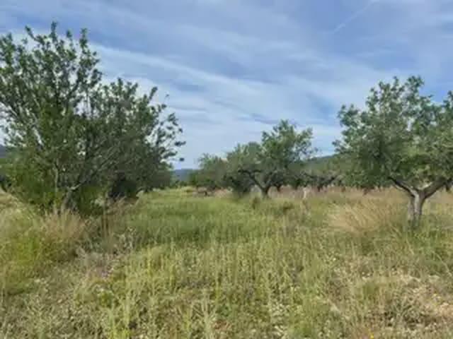 Terreno/Finca Rústica en venta en Cabanes, Castellón Costa Azahar