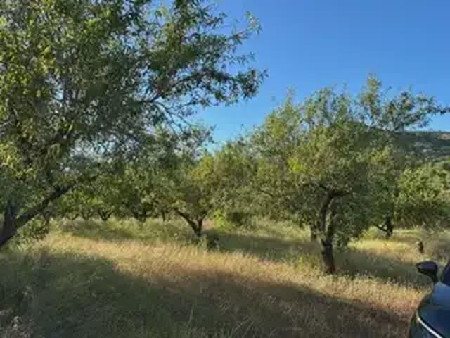 Terreno/Finca Rústica en venta en Cabanes, Castellón Costa Azahar
