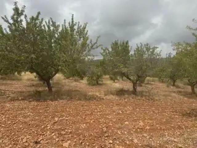Terreno/Finca Rústica en venta en Cabanes, Castellón Costa Azahar