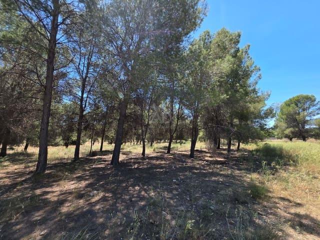 Terreno/Finca Rústica en venta en Calasparra, Murcia