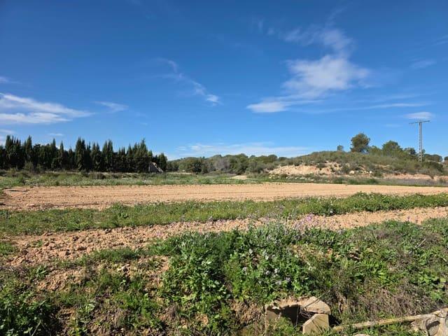 Terreno/Finca Rústica en venta en Calasparra, Murcia