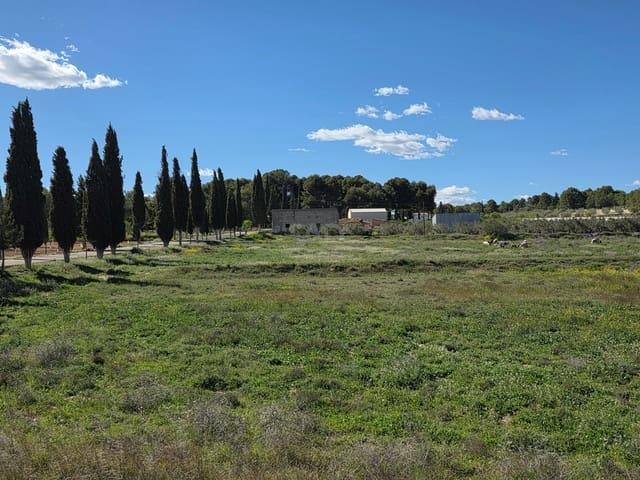 Terreno/Finca Rústica en venta en Calasparra, Murcia