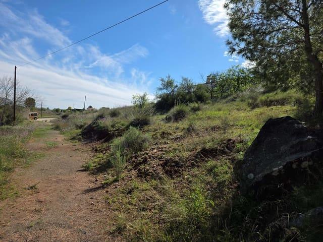 Terreno/Finca Rústica en venta en Calasparra, Murcia