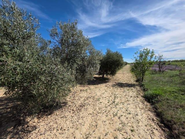 Terreno/Finca Rústica en venta en Calasparra, Murcia