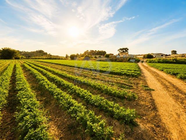 Terreno/Finca Rústica en venta en Calasparra, Murcia