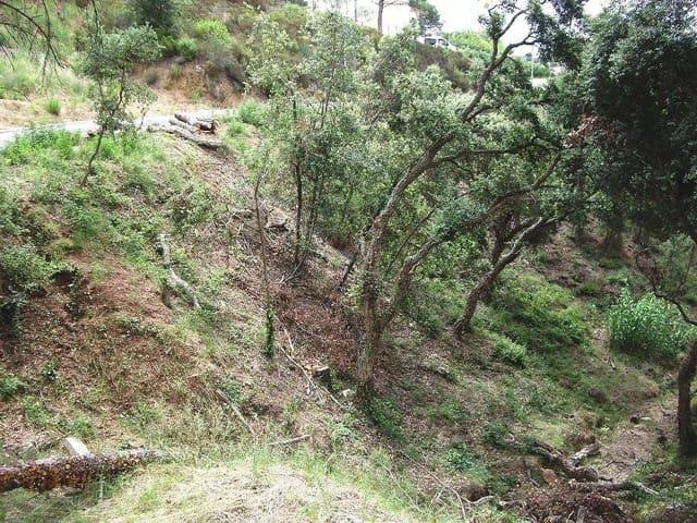 Terreno/Finca Rústica en venta en Calonge i Sant Antoni, Girona Costa Brava
