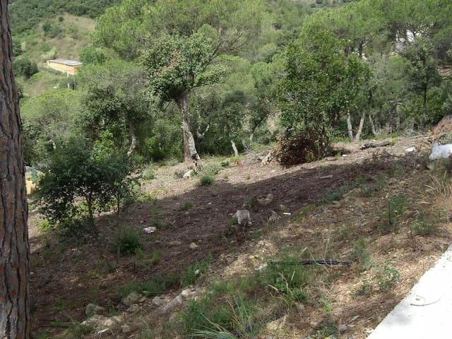 Terreno/Finca Rústica en venta en Calonge i Sant Antoni, Girona Costa Brava