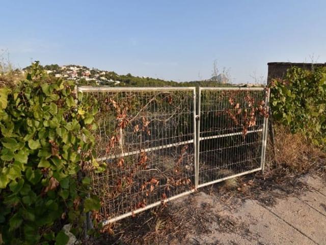 Terreno/Finca Rústica en venta en Calpe / Calp, Alicante Costa Blanca