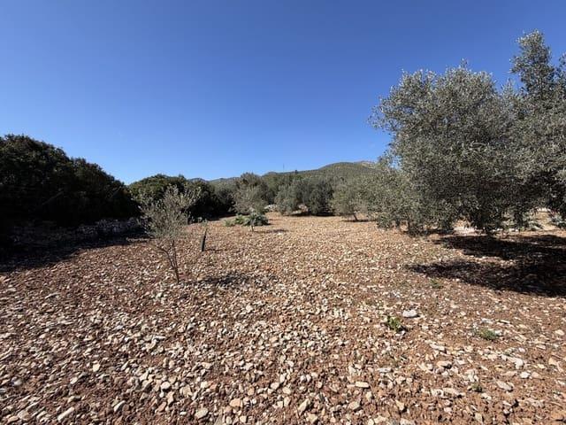 Terreno/Finca Rústica en venta en Capdepera, Mallorca
