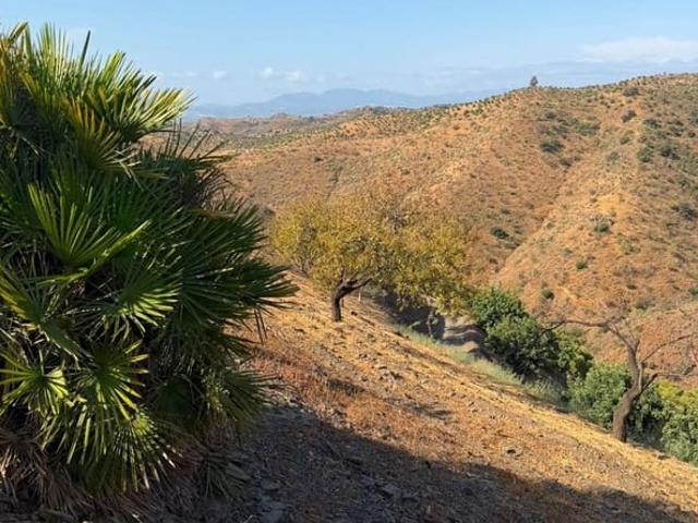 Terreno/Finca Rústica en venta en Cártama, Málaga