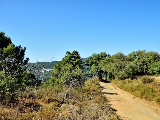 Terreno/Finca Rústica en venta en Cartajima, Málaga