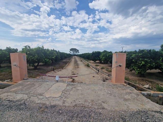 Terreno/Finca Rústica en venta en Carcaixent, Valencia