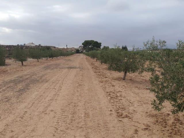 Terreno/Finca Rústica en venta en Casillas, Murcia