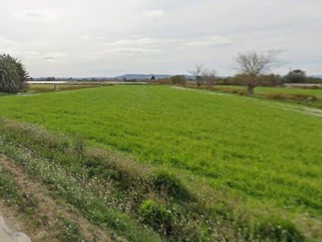 Terreno/Finca Rústica en venta en Catral, Alicante
