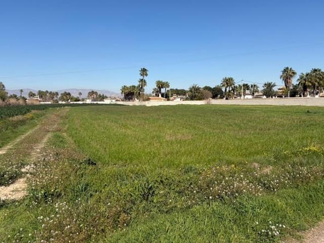 Terreno/Finca Rústica en venta en Catral, Alicante
