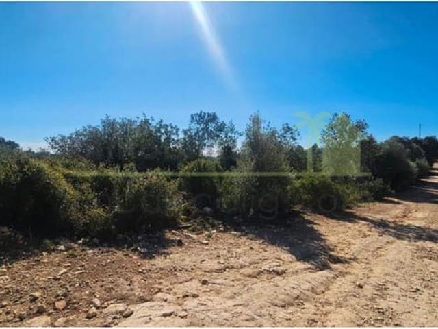 Terreno/Finca Rústica en venta en Cervera del Maestre / Cervera del Maestrat, Castellón