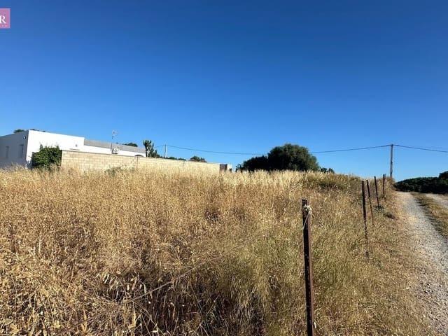 Terreno/Finca Rústica en venta en Conil de la Frontera, Cádiz Costa de la Luz