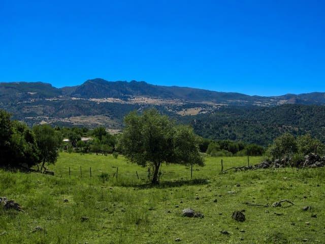 Terreno/Finca Rústica en venta en Cortes de la Frontera, Málaga