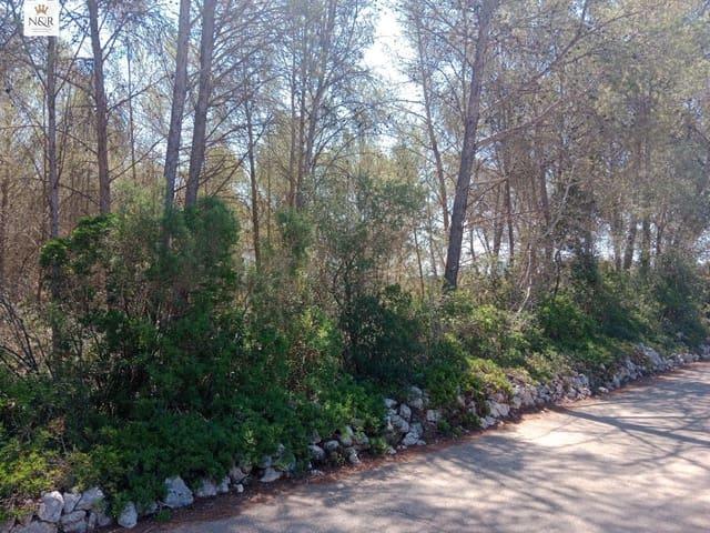 Terreno/Finca Rústica en venta en Costitx, Mallorca