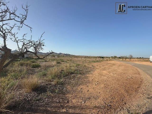 Terreno/Finca Rústica en venta en Cuesta Blanca, Murcia Costa Cálida