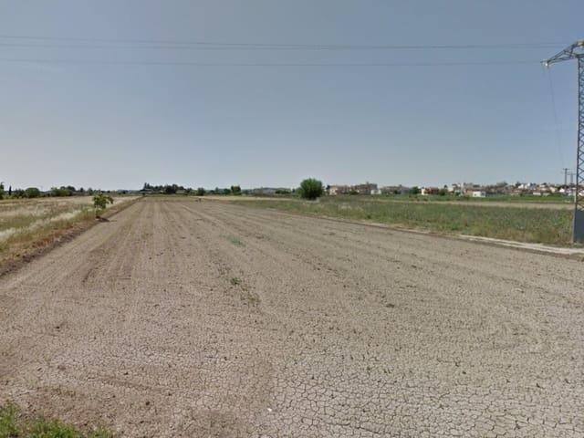 Terreno/Finca Rústica en venta en Dolores, Alicante
